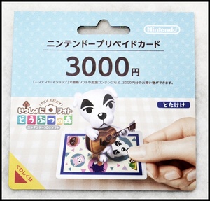 ニンテンドープリペイド3000円分 (1).JPG