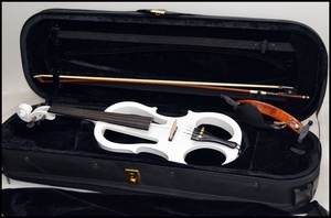 キクタニ エレクトリック バイオリン (1).JPG