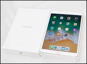 iPad Pro 10.5 256GB (1).JPG