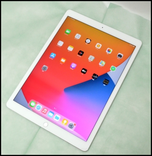 iPad Pro 12.9 256GB 第1 Wi-Fi.JPG